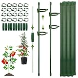 CNMTCCO Pflanzenstütze, Rankhilfe, 20 Stück Pflanzstäbe, mit 20 Karabinern...