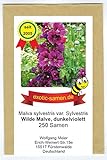 Wilde Malve - Dunkelviolett - Bienenweide - Malva sylvestris var. Sylvestris -...