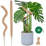 Moosstab Monstera für Pflanzen, SproutMaven 2 x 60cm Biegsame Monstera...