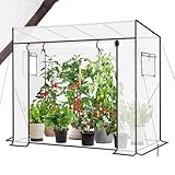 Sekey Gewächshaus Tomatengewächshaus 200x170x77 cm, Begehbarers Tomaten...