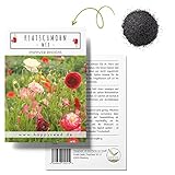 Klatschmohn Samen (Papaver rhoeas) - Wunderschön blühende Mohnblumen mit...