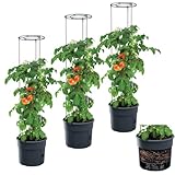 DTU24 3X Blumentopf Tomatentopf Topf für Tomatenpflanzen 18L Tomatenzüchter...