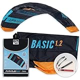 Wolkenstürmer® Paraflex Basic 2-Leiner Lenkmatte 1.2 (türkis) - Kite Drachen...