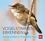 Vogelstimmen erkennen / CD: Gesänge und Rufe von 75 heimischen Arten (BLV...