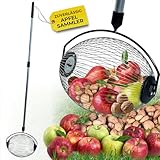 STREND PRO Nusssammler | Walnuss Sammler | Obstsammler | TELESKOPSTANGE 80-120...