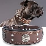 Hundehalsband Leder, 5 cm Breites Robustes Echtes Lederhalsband, Handgefertigt,...