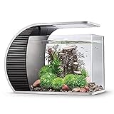 hygger LED Glasaquarium-Set 19 Liter, Panoramaaquarium geschwungene Frontscheibe...