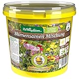 N.L. Chrestensen Blumensamen Mischung, Saatgut bienenfreundlich, Sommerblumen,...