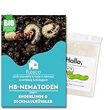 Futeco® – HB-Nematoden gegen Dickmaulrüssler & Engerlinge – für 5m²...