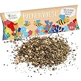 Bienenwiese Blumenmischung: 100g Premium Bienen Saatgut für bunte Bienenweide,...