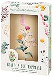 moses. Blatt & Blüte - Blumenpresse, Blatt- und Blütenpresse für DIY- und...