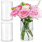 LDXDRU 3er Set Glasvasen 15cm Hohe Glasvase Zylinder, Glaszylinder für Kerzen...