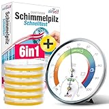 Schimmeltest + Thermohygrometer: Zum Check der Schimmelbelastung für bis zu 6...