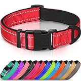 Joytale Halsband Hund, Gepolstertes Hundehalsband Breit aus Neopren Nylon...