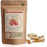 SPINTZ® 210 Stk. Bio Hagebutten Kapseln - vegane Hagebutten Kapseln hochdosiert...