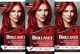 Brillance Intensiv-Color-Creme 842 Kaschmirrot (160 ml), dauerhafte Haarfarbe...