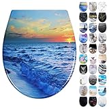 Fanmitrk Toilettendeckel Duroplast, WC Sitz mit Absenkautomatik, Klodeckel mit...