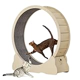 Keyzone Laufrad für Katzen, 1100 x 345 x 1170 mm Laufband für Katzen, Laufband...