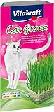 Vitakraft Cat Grass, frisches Katzengras, Katzengras fertig gewachsen, mit...