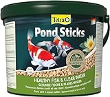 Tetra Pond Sticks - Fischfutter für Teichfische, für gesunde Fische und klares...