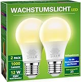 Briignite Die Glühbirne leuchtet. Eine Pflanzenlampe Pflanzen Lampe...