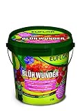 Euflor Blühwunder 1 kg Eimer • sorgt für reiche Blütenfülle und gesunde...