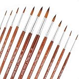 Amabro 12 Stück Künstlerpinsel Pinsel Set, Haarpinsel Nylon Pinsel Set, acryl...