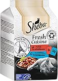 Sheba Katzennassfutter Fresh Cuisine Taste of Paris, 36 Portionsbeutel, 6x50g...