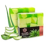 Panu Seifen Aloe Vera - Vegane Duschseife für alle Hauttypen - Naturseife als...