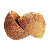 Sri Care Natürliche halbierte Kokosnussschale für Handwerk,...