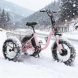 flatpincololee Elektro Dreirad Fahrrad 20'x4.0' Geländetauglich – 48V 13Ah...