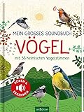 Mein großes Soundbuch Vögel: Mit 35 heimischen Vogelstimmen | Hochwertiges...