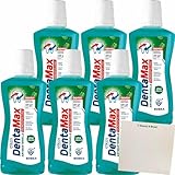 Elkos DentaMax Antibakterielle Mundspülung Minze 6er Pack (6x500ml Flasche) +...