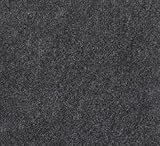 Teppichboden 200 cm Breite Bodenbelag Nadelvlies Meterware Anthrazit (Antrhazit,...