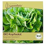 Samenliebe BIO Kopfsalat Samen Kargraner Sommer 2 süß nussiger Hochsommersalat...