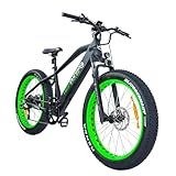 Highphoria Elektrofahrrad Erwachsene 26 Zoll, 250W 25 km/h E-Bike mit, Batterie,...