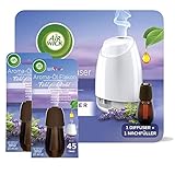 Air Wick Aroma-Öl Diffuser Starter-Set Entspannender Lavendel 20ml + 2x...