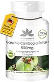 Garcinia Cambogia Extrakt 500mg - 100 Kapseln Tamarinde - standardisiert auf 60%...
