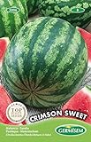 Wassermelone Crimson Sweet Mehrfarbig