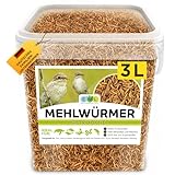 Mehlwürmer getrocknet 3 ltr. Premium Insektensnack Vögel, Fische,...