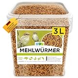 Mehlwürmer getrocknet 3 ltr. Premium Insektensnack Vögel, Fische,...