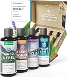 FJORLAND® Saunaaufguss Set [ECHTE BIO-ÖLE] - Saunaöl 4 x 100 ml Saunadüfte -...