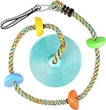 LittleBoyny Kletterseil Schaukel Baum Kinderschaukel mit Plattform und...