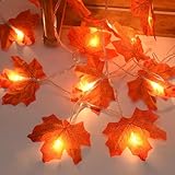 Bigzom 3M Ahornblatt Lichterkette, 20LED Herbst Lichterketten Ahornblatt...