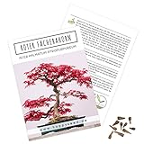 Außergewöhnliche Bonsai Samen mit hoher Keimrate - Pflanzen Samen Set für...