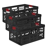 keeeper 3 x Profi-Klappbox Ben, 45 Liter, PP, Graphit/rot