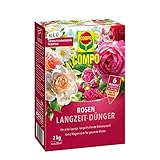 COMPO Rosen Langzeit-Dünger für alle Arten von Rosen, Blütensträucher sowie...