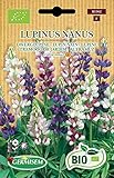 Germisem Lupine LUPINUS NANUS, ECBIO1562