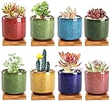 Lawei 8 Stück Keramik Sukkulenten Töpfe 6.3cm Kaktus Pflanze Töpfe Mini...