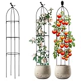 Griwuut Garten Rankhilfe 120 cm Obelisk Rankhilfe Abnehmbar,Pflanzenstütze...